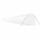 Greenhouse with Steel Frame White 48m 24x2x2 m 3188038