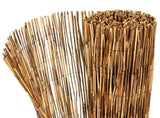 Garden Fence Carbonized 1000 x 80 cm Reed 42031272