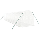 Greenhouse with Steel Frame White 20 m 10x2x2 m 3188031
