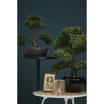 ZNTS Emerald Artificial Cedar Bonsai Green 32 cm 420001 414502