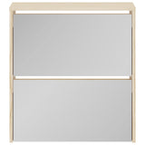 Shoe Cabinet 2-Layer Mirror Oak 63x17x67 cm 243045
