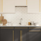 Cabinet Handles 20 pcs Gold 480 mm Stainless Steel 3203602