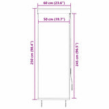 Outdoor Roller Blind 60x250 cm Anthracite 145946