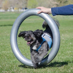 ZNTS FitPAWS Donut Holder 63 cm Grey 433821