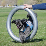 ZNTS FitPAWS Donut Holder 63 cm Grey 433821