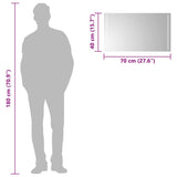 LED Bathroom Mirror 70x40 cm 151745