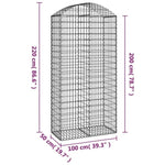 Arched Gabion Basket 100x50x200/220 cm Galvanised Iron 153440