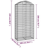 Arched Gabion Basket 100x50x200/220 cm Galvanised Iron 153440