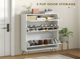 Shoe Storage Cabinet 42579361
