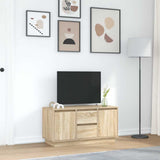 TV Cabinet with LED Lights Sonoma Oak 100x41x50 cm 861411