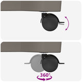 Calypso Planter with Wheels Grey 79 x 35 x 33 cm PP 42041720