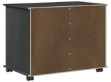 Rolling Cabinet Black 63.5 x 39 x 65.5 cm Solid Pine Wood 42028379