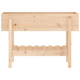 Garden Raised Bed 101x30x69 cm Solid Wood Pine 825240