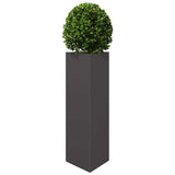 Garden Planter Black Triangular 30x26x75 cm Steel 851143