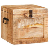 Storage Box with Storage with Door Brown Solid Mango Wood 4104569