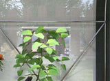3 x 2 Walk-In Tunnel Greenhouse, with Accessories - White T3398P314770