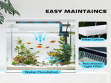 28L Glass Aquarium Fish Tank with Filter, LED Lighting, for Betta, Guppy, Mini Parrot Fish, Shrimp, T3398P350115