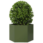 ZNTS Garden Planter Olive Green Hexagon 69x60x45 cm Steel 851125