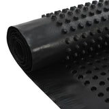 Dimpled Drainage Sheets 2 pcs HDPE 400 g/m 1x20 m 144949