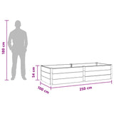 Garden Raised Bed Brown 250 x 100 x 54 cm 42039010