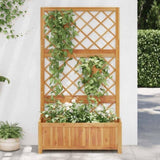 Raised Bed with Trellis 85x38x150 cm Solid Acacia Wood 316542