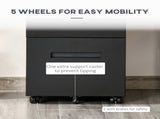 Metal Mobile File Cabinet with Wheels, Lockable 2 Drawer Filing Cabinet for A4, Legal, Letter, T3398P344781