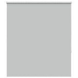 ZNTS Roller Blind Blackout Light Grey 140x150 cm Fabric Width 136.6 cm Polyester 4011396