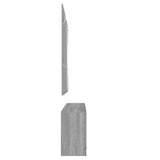 3-in-1 Shoe Cabinet Set Grey Sonoma Engineered Wood 342575