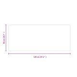 Fireplace Glass Plate Rectangular 120x50 cm 324125