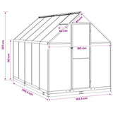 Garden Greenhouse with Door Anthracite 183.5 x 303.5 x 207 cm 3433043