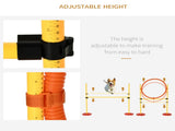 Dog agility training equipment 21596315