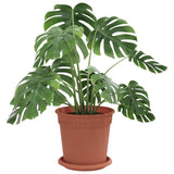 Plant Pots 24 pcs Brick Red 17 x 14 cm Plastic 3403264