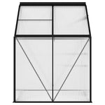 ZNTS Greenhouse Anthracite Aluminium 2.47 m² 312057