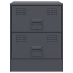 ZNTS Bedside Cabinet Anthracite 34.5x39x44 cm Steel 841623