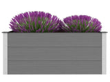 Garden Raised Bed WPC 100x50x54 cm Grey 43603