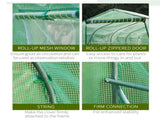 Polytunnel Greenhouse with Windows and Door, Walk in Greenhouse for Garden, Backyard T3398P314114