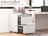 2-Drawer Mobile Filing Cabinet, Steel Lockable File Cabinet for Letter, A4 and Legal Size, T3398P343447