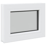 Cellar Window Internal Colour White RISOR 40 x 30 cm 42047986
