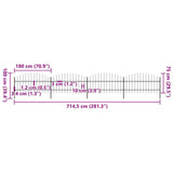 Garden Fence with Spear Top Steel 714.5x100 cm Black 277715