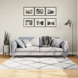 Shaggy Rug PAMPLONA High Pile Modern Cream and Black 160x160 cm 375368