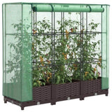 ZNTS Raised Bed with Greenhouse Cover Rattan Look 120x40x123 cm 4015797