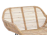 Bar Chair 2 pcs 55 x 52 x 92 cm Rattan and Iron 42011552