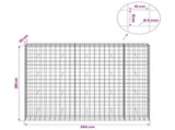 Gabion with 5 mm Wire and 10x10 cm Mesh 250x50x200 cm 3465263