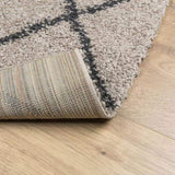 Shaggy Rug PAMPLONA High Pile Modern Beige and Anthracite 160x160 cm 375390