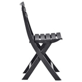 Folding Garden Chairs 2 pcs Plastic Anthracite 48787