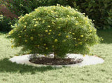suitable for Flat Tree Rings 5 pcs Silver 40 / 70 cm 873685