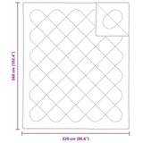 Quilts & Duvets White 260 x 220 cm Polyester 42007791