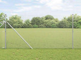 Welded Wire Fence 1000 x 160 cm Silver 42004906