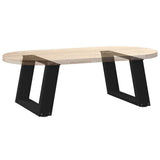 Coffee Table Legs U-Shaped 2 pcs Black 50x cm Steel 4012744