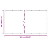 Clear Tarpaulin with Eyelets 3x6 m PVC 4018602